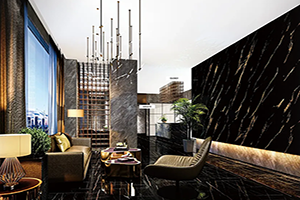 Decoratief marmeren patroon PVC/huisdierfilm